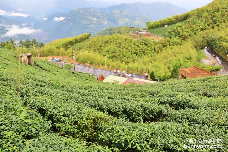 嘉義二尖山步道