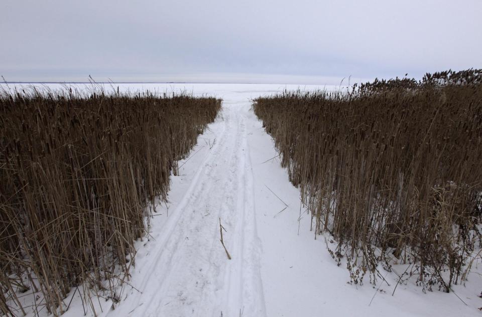 Green Bay is seen frozen through a path between grassy vegetation at the Cofrin Memorial Arboretum on the University of Wisconsin Green Bay campus Sunday, Jan. 5, 2014, in Green Bay. Temperatures not seen in years are likely to set records in the coming days across the U.S. Midwest, Northeast and South, creating dangerous travel conditions and prompting church and school closures.(AP Photo/Kiichiro Sato)