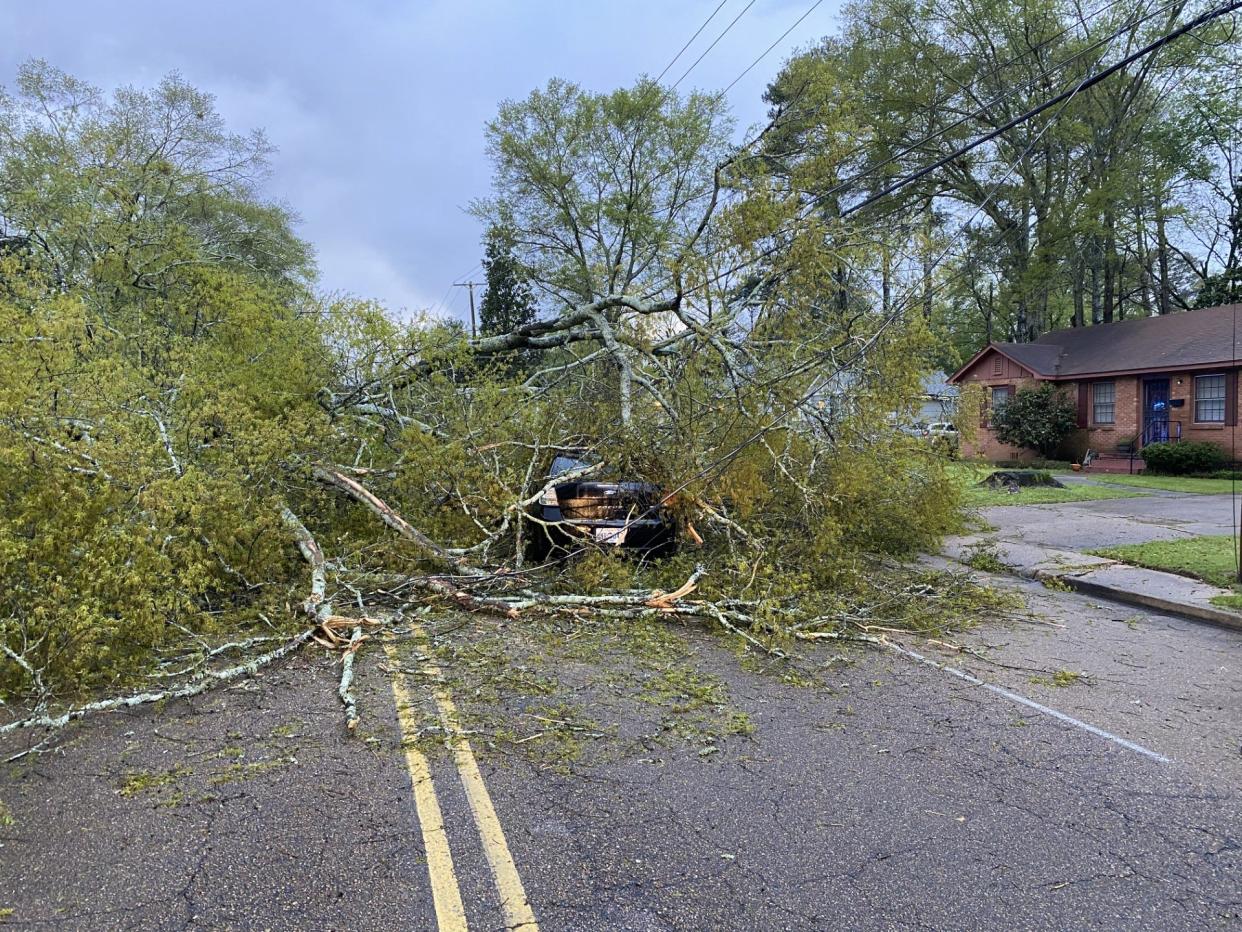 A tree lies on a car on Tuesday, March, 2024 on Hanging Moss Road after overnight severe storms moved through Jackson, Miss.