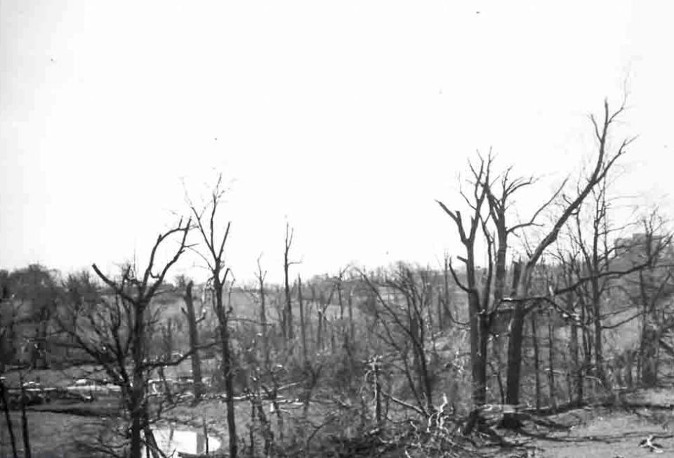 Paul Schmetzer took this photo of Cherokee Park the day after the April 3, 1974 tornado.