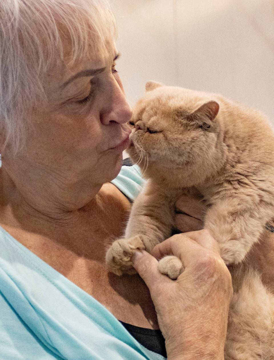 Nanette Levitt kisses Giorgio, an 11-month old male Exotic Shorthair cat, as he wriggles in her arms at the Motor City Jazz Club & Midwest Persian Tabby Fanciers' Allbreed Cat Show in Taylor, Mich. on Saturday, July 22, 2023.