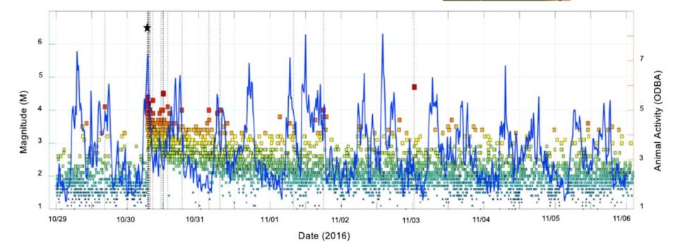 Actividad de los animales en relación con los terremotos desde 29 octubre hasta el 06 noviembre 2016 | imagen Wikelski, Martin, et al.