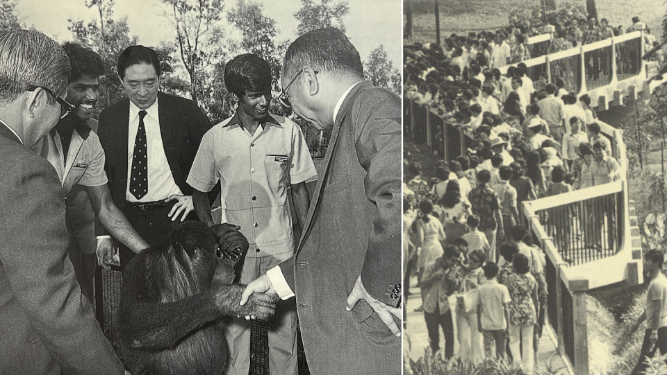 Dr Goh Keng Swee and Susie the Orangutan (left) and Singapore Zoo on the weekend after opening (Photos: Mandai Wildlife Group) 