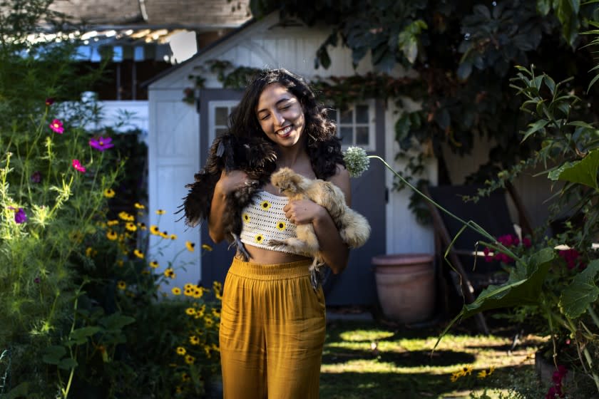 LOS ANGELES, CA - JULY 29, 2021: Teapot LA founder Sorina Vaziri holds her affectionate Silkie chickens in her backyard garden which she designed on July 29, 2021 in Los Angeles, California.(Gina Ferazzi / Los Angeles Times)