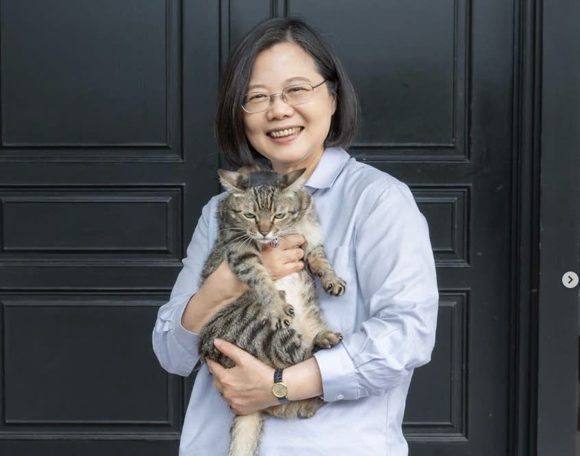 總統蔡英文20日將卸任，她19日在社群平台Instagram秀出搬離官邸前與愛貓「蔡想想」的合照，以及愛犬｢樂樂」、「鳳梨妹」的照片。（圖取自tsai_ingwen  Instagram）