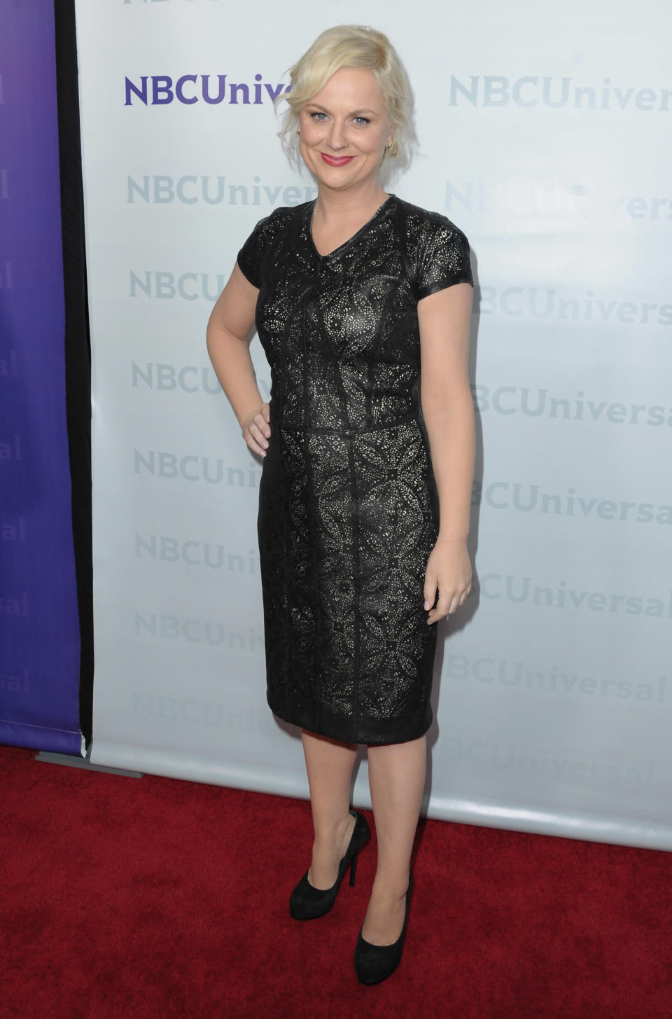 NBC Universal 2012 Winter TCA Press Tour All-Star Party