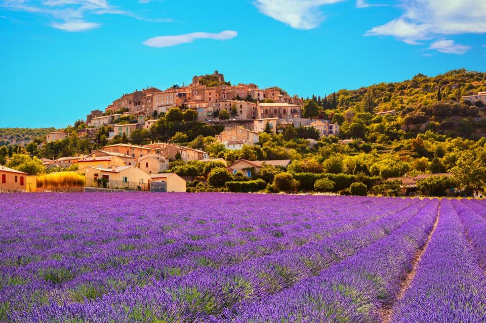 Among other things, Provence is famous for its lavender fields (Getty Images/iStockphoto)