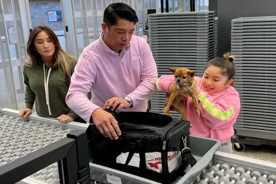 Know TSA rules on traveling with pets well before it's time to go to the airport