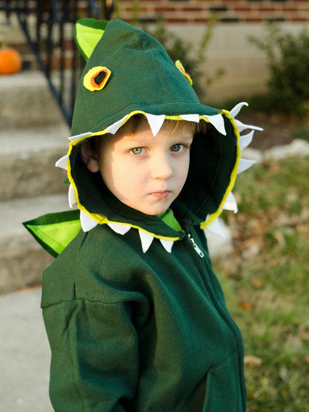 Dinosaur Costume