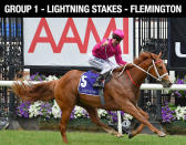 The three-year-old chestnut gelding caused somewhat of an upset in winning the Coolmore Stud at his last start. Talented horse in the care of trainer Chris Waller has obvious ability and was a winner at his only start at this track.