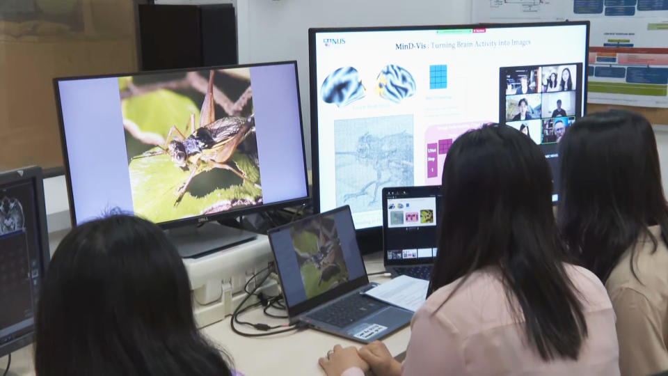 Researches sitting at a computer work to turn brain activity into images in an AI brain scan study at the National University of Singapore. (NBC News)