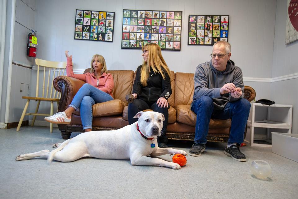 Jax, a 3-year-old rescued pit bull, lies before (left to right) Michelle Yanstick of Howell, adoption coordinator for Rescue Ridge; Shelley Raskin of Marlboro, who trains service dogs for veterans for TADSAW (Train a Dog, Save a Warrior); and Paul Stinson of Springfield, a veteran who adopted Jax, at Cherry Lane Kennels in Howell, NJ Monday, March 25, 2024.