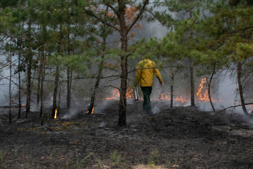 First responders including firefighters of the New Jersey State Forest Fire Service battle a fire in the northern area of Wharton State Forest.  Shamong, NJTuesday, June 21, 2022