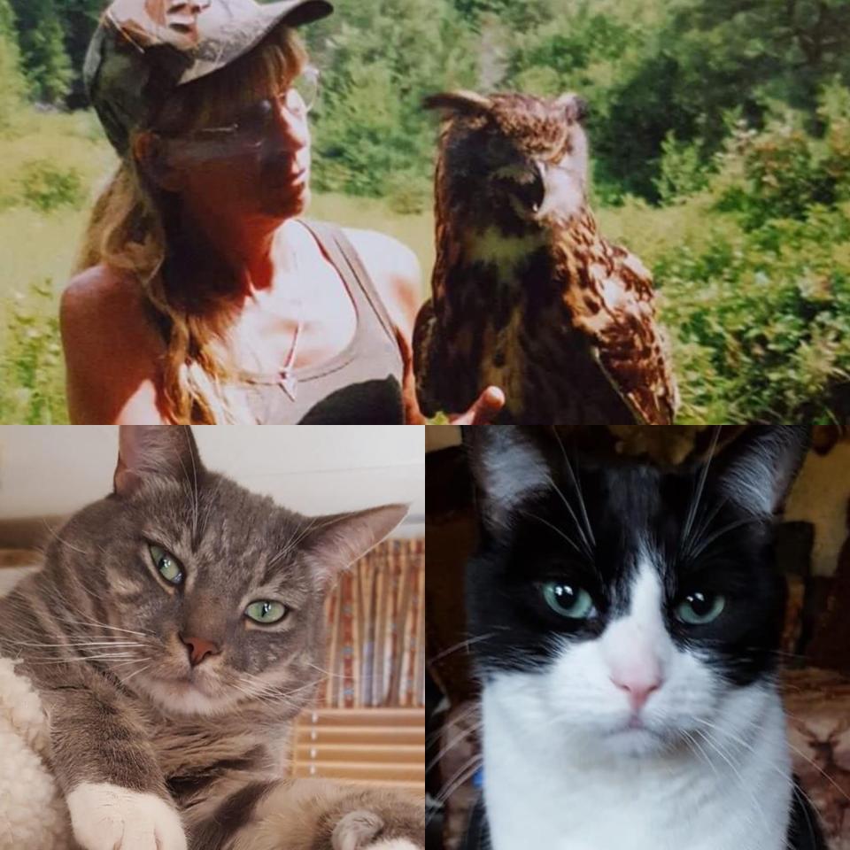 Tina Veronesi Spano of East Bridgewater lost her beloved rescue cats, Puppy, bottom left, and Puttie. Spano was rescued by strangers when her home on Old Bedford Road went up in flames on Sunday, Feb. 4, 2024, but both cats perished in the fire. Spano lost everything she owns.