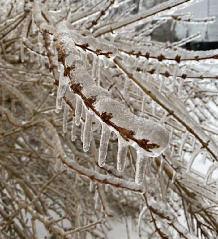 Icy mix across Atlantic Canada could threaten power, travel issues