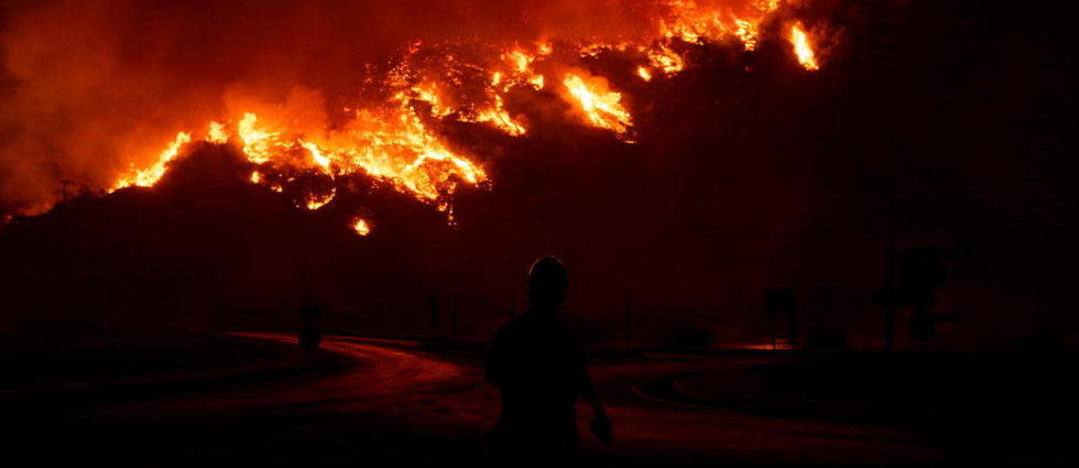 Les feux de forêt sont l'une des causes majeures de ce revirement. (Photo d'illustration)
