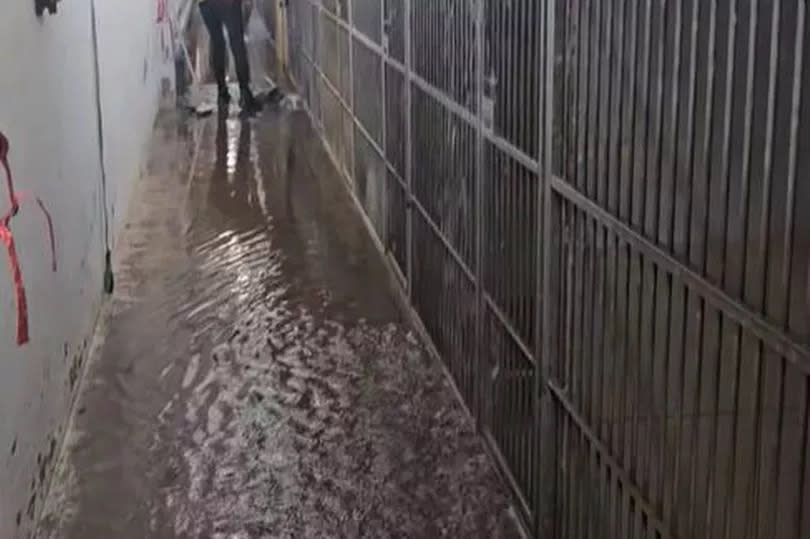 Flooded kennels in Hope Rescue