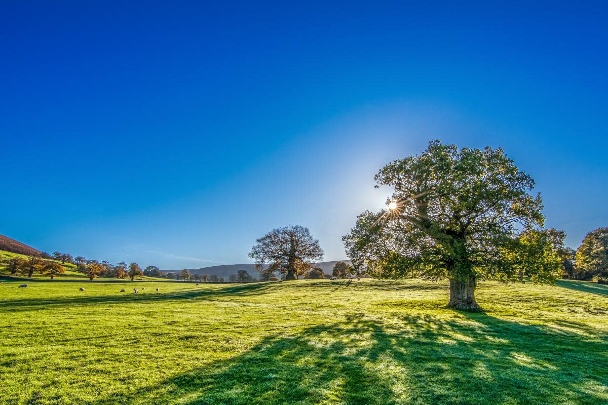 Sunshine and hot temperatures to continue in Bolton <i>(Image: Canva)</i>