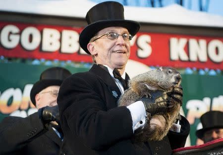 Punxsutawney Phil's handler Ron Ploucha introduces the groundhog to the crowd at Gobbler's Knob in Punxsutawney, Pennsylvania, February 2, 2015. REUTERS/Alan Freed