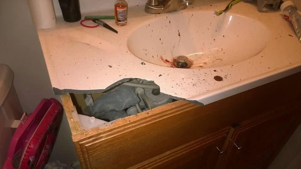 The explosion was so powerful that it left a large hole in Mr Hall's bathroom sink. Source: Facebook