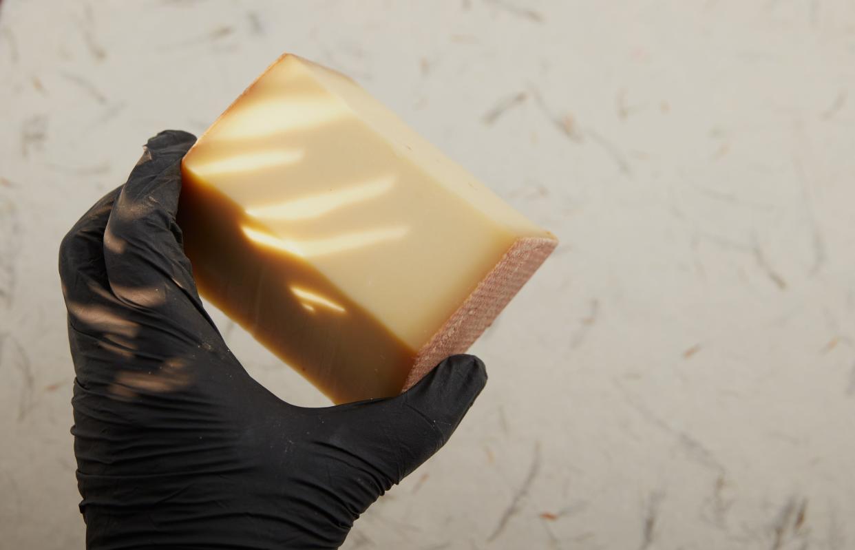 A human hand in black disposable latex glove holding a piece of gruyère