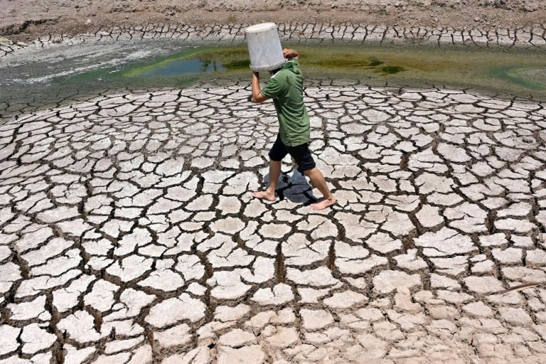 Avec un nouveau record de température en mars, les douze derniers mois ont été les plus chauds jamais enregistrés dans le monde, 1,58°C de plus que dans le climat de la planète au XIXe siècle (Nhac NGUYEN)