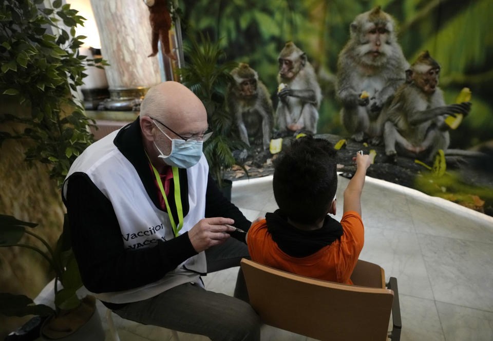 A young boy is administered a COVID-19 vaccine while he shines a light on photos of monkeys at the Antwerp Zoo in Antwerp, Belgium, Wednesday, Jan. 12, 2022. In an effort to make children more at ease in getting their vaccine, specially designed safari tents with photos of zoo animals have been installed to provide a more private setting with a vaccinator. Once they have received the vaccine, children and parents can stroll through the greenhouse and visit the monkey enclosure. (AP Photo/Virginia Mayo)