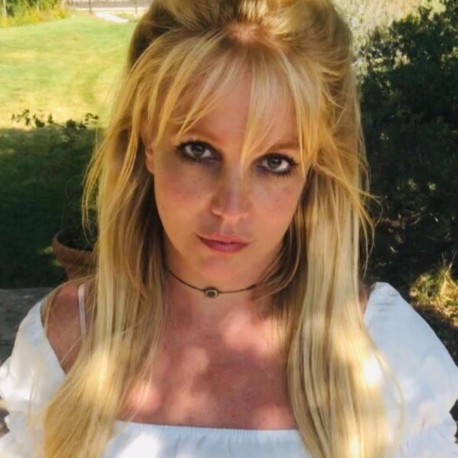 El ex marido de Britney no podra acercarse a menos de 100 metros de ella