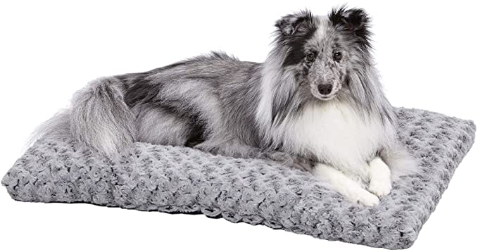 cheap dog beds medwest homes
