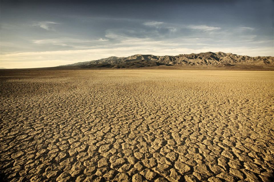 Dry, cracked desert ground