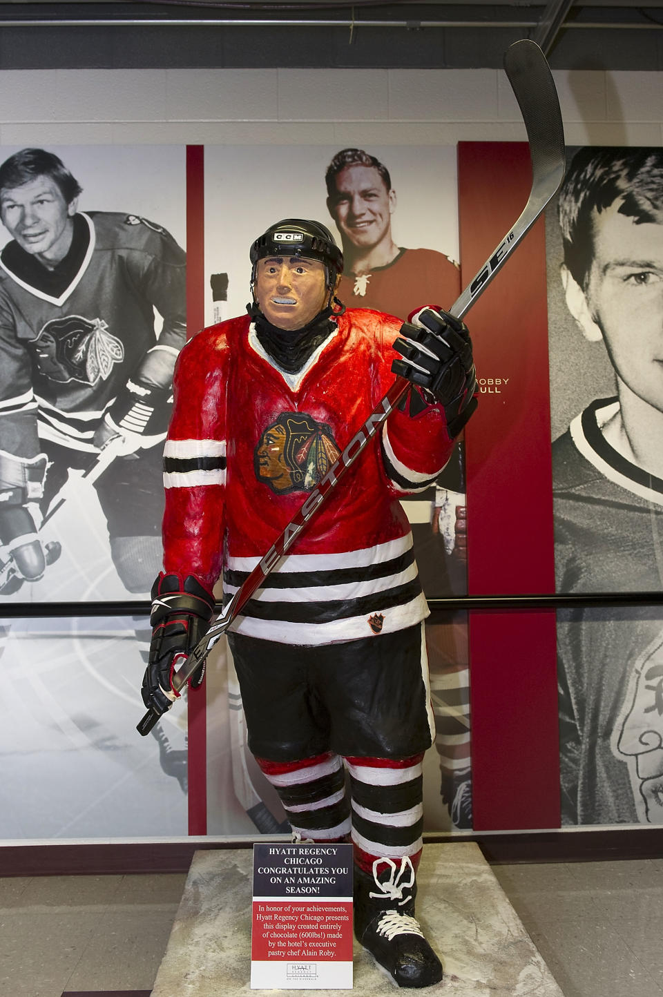 Chocolate hockey player (well, almost)