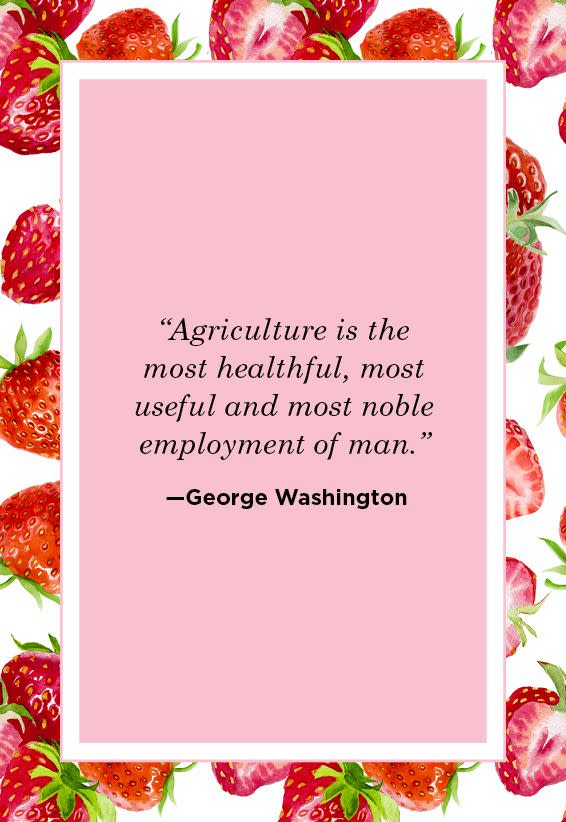 <p>"Agriculture is the most healthful, most useful and most noble employment of man."</p>