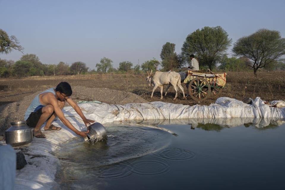 A farmer collect water from a storage area in Savargaon village, Beed district, India, Sunday, May 5, 2024. India's 120 million farmers share fast-shrinking water resources as groundwater is pumped out faster than rain can replenish it. (AP Photo/Rafiq Maqbool)