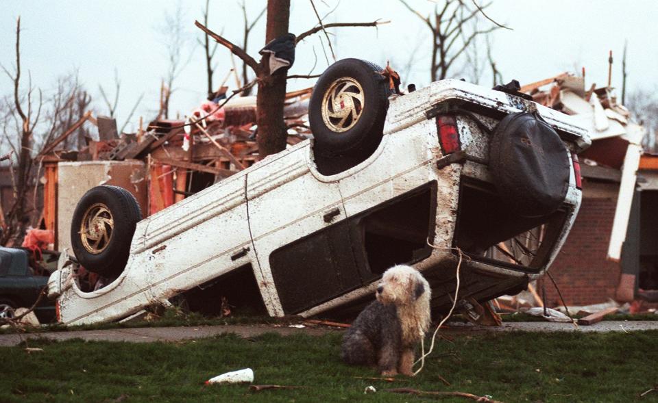 April 9, 1999: An Old English sheepdog sits calmly on Cornell Road, tied to an overturned Chevrolet Blazer.
