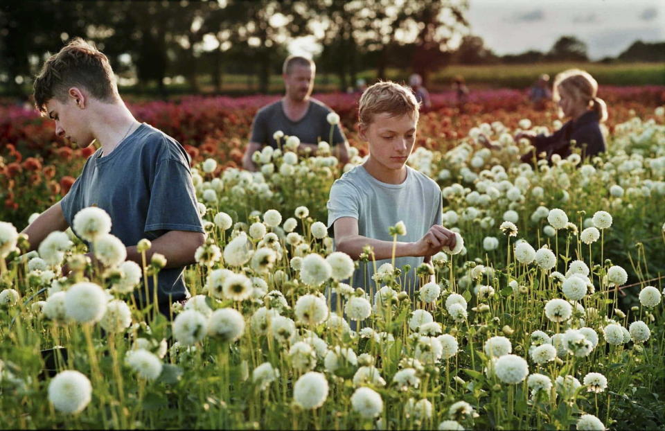 This image released by A24 shows Eden Dambrine, foreground right, in a scene from "Close." (A24 via AP)