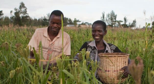 Gates Ag One will focus on accelerating agricultural innovation for smallholder farmers, particularly in sub-Saharan Africa and South Asia. (Gates Foundation Photo)