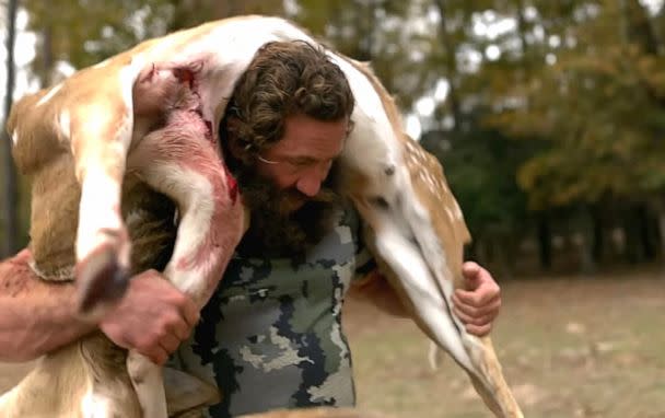 PHOTO: The Liver King carries an dead livestock animal. (ABC News)