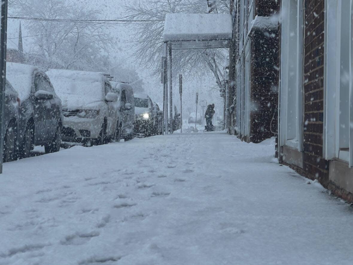 Snowfall of up to 15 centimetres is expected in Windsor-Essex and Chatham-Kent. (Chris Ensing/CBC - image credit)