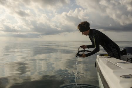 The Wider Image: The race to save the coral of the Caribbean