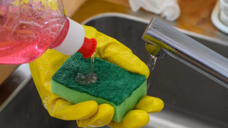 Dishwashing liquid dispensed onto a sponge closeup