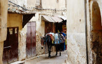 <p>Fez is home to one of the world’s largest car-free urban areas. Within the medina, the most common form of transporting goods is by donkey. Note: The labyrinth of streets in Fez rarely have street signs, so it is important to remember visual landmarks in order to find your way back to your riad.</p>