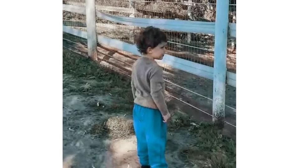 Prince Archie in sweatpants looking through a fence