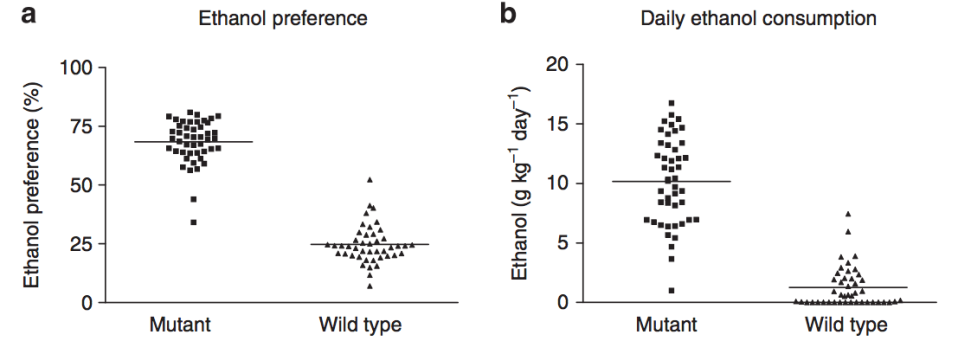 mouse alcohol consumption