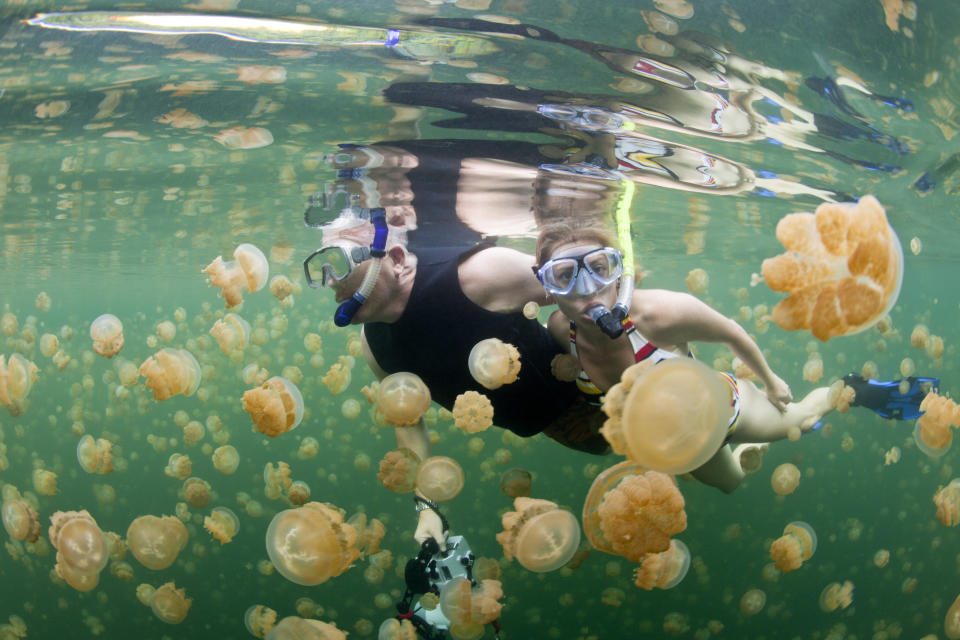 帛琉水母湖浮潛。圖片來源：Getty Images