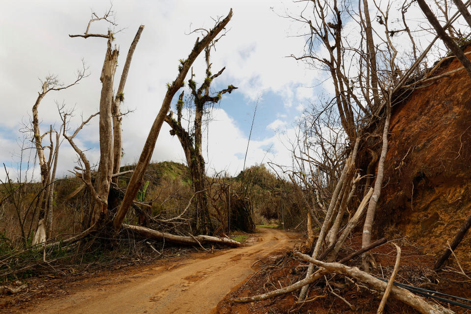 The mountain town of Juyaya, P.R., is one of the most remote on the island, and help was slow to arrive because of roads blocked by landslides and fallen trees. This is the road from Ciales to Jayuya. (Photo: Carolyn Cole/Los Angeles Times via Getty Images)