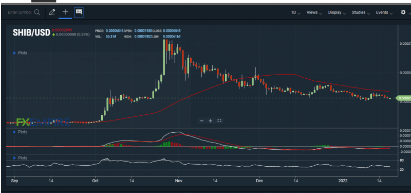 SHIB’s RSI is heading to the oversold region – Source: FXEMPIRE