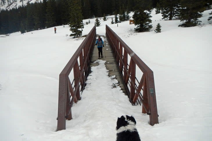 Grays and Torreys Peaks bridge at trailhead