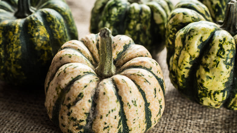 Sweet dumpling squash