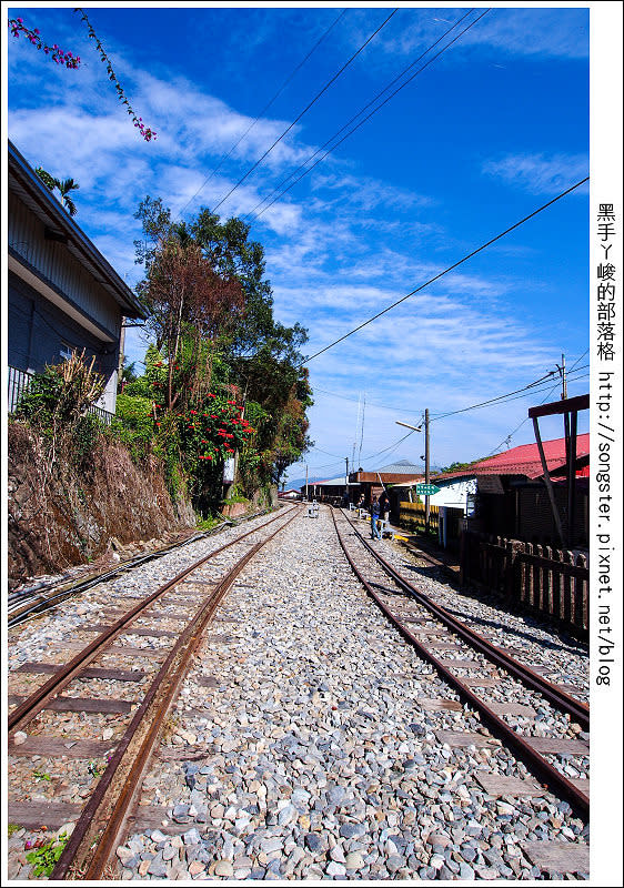 【嘉義】龍山國小 太興岩步道 交力坪車站