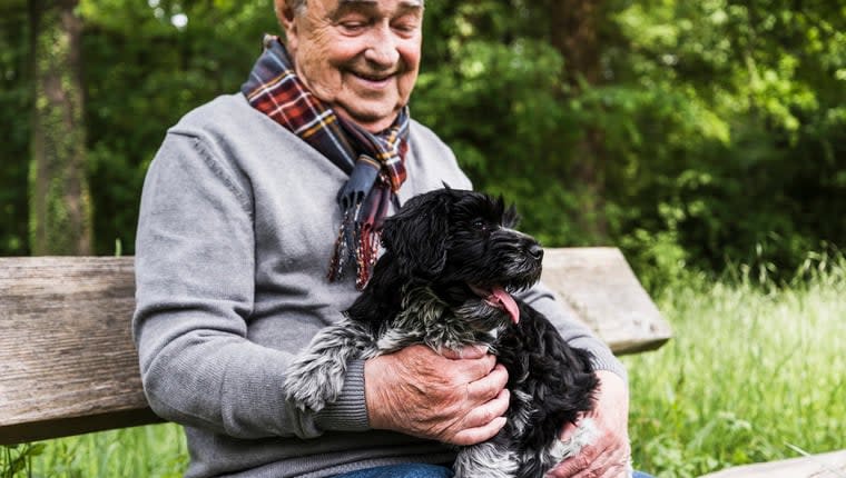 Older Adults Who Are Dog Parents Are Healthier, Study Finds